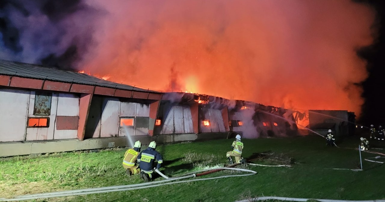 Pożar fermy drobiu w Śląskiem. Spłonęło 20 tys. kurcząt
