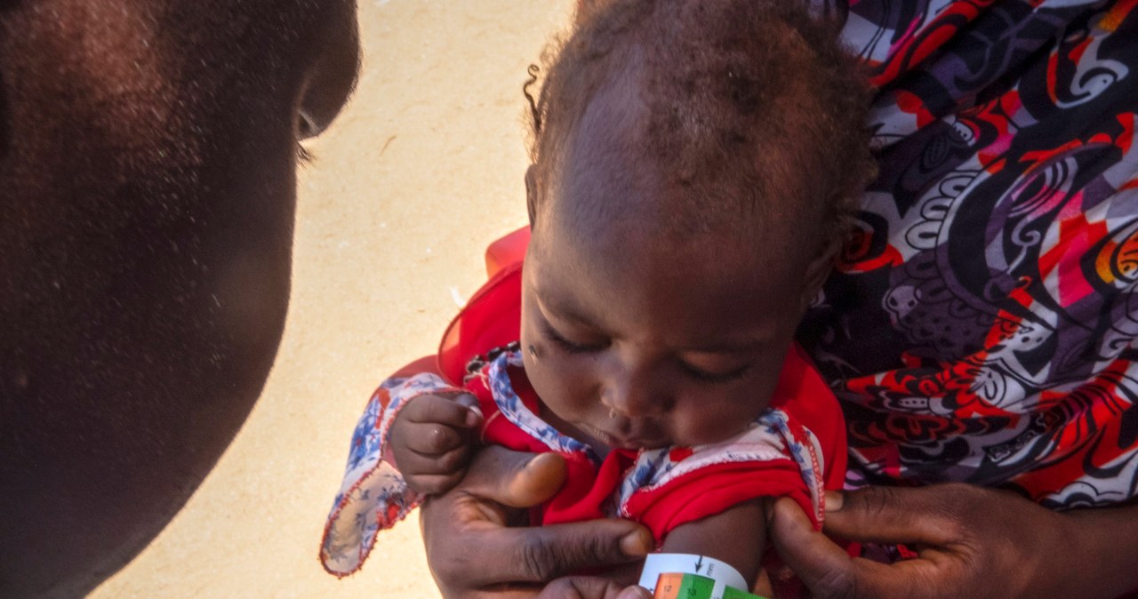Głód w Sudanie. Zagrożone życie 230 tys. dzieci i kobiet w ciąży