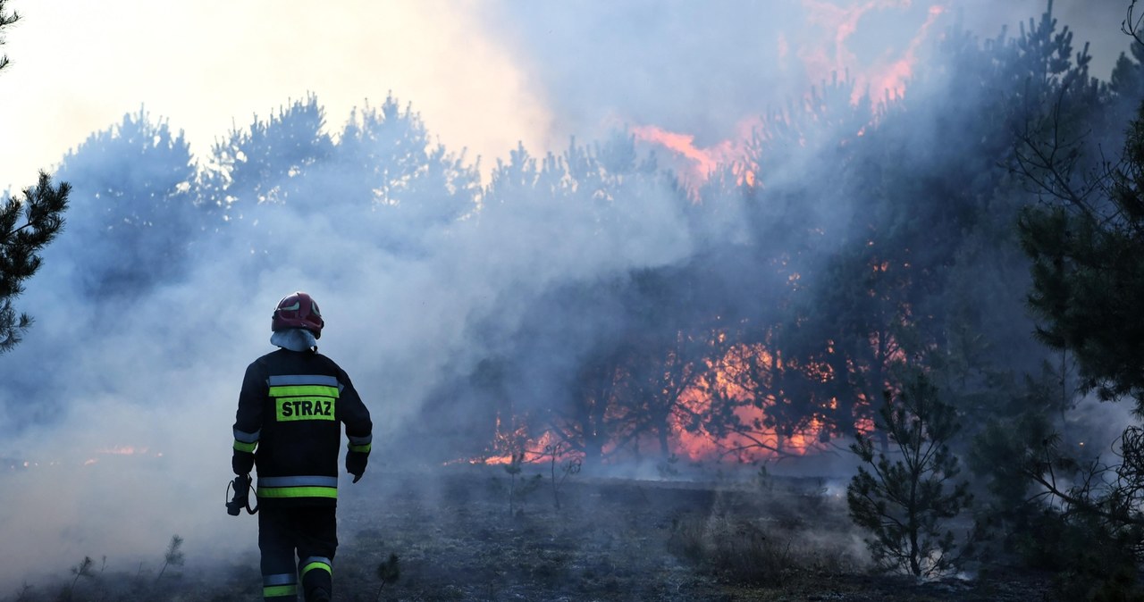 Ekstremalne zagrożenie pożarowe w lasach