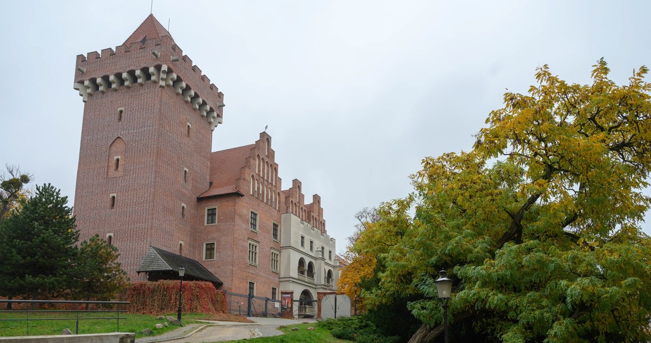 Niesamowite znaleziska na terenie Zamku Królewskiego w Poznaniu