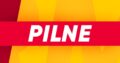 Niezależne Polskie Media