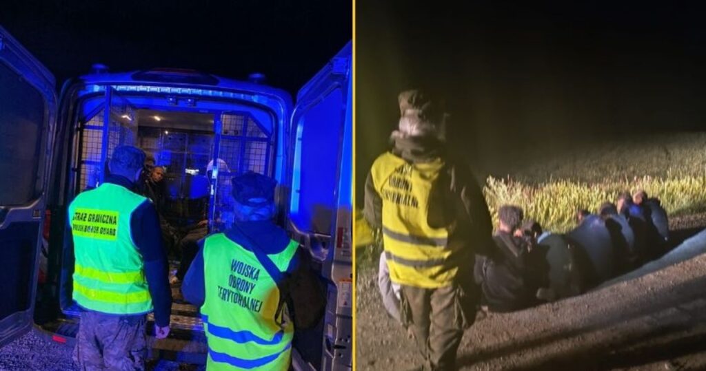 nocna akcja na polskiej granicy. siedmiu migrantów zatrzymanych