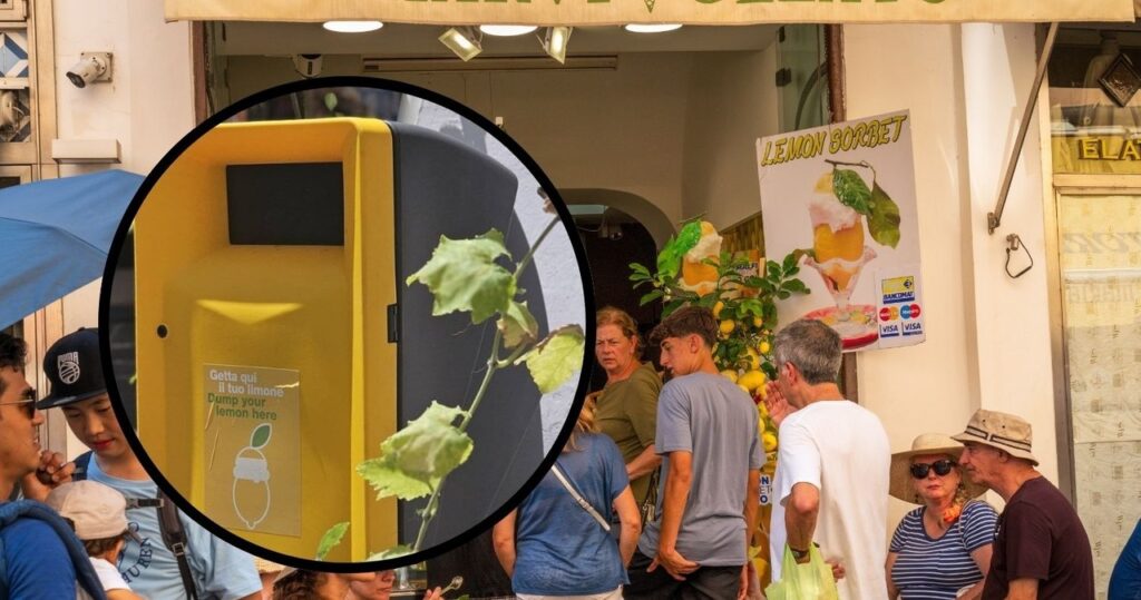 cytrynowy sorbet – letni hit i śmieciowy koszmar. tak poradzili sobie z problemem