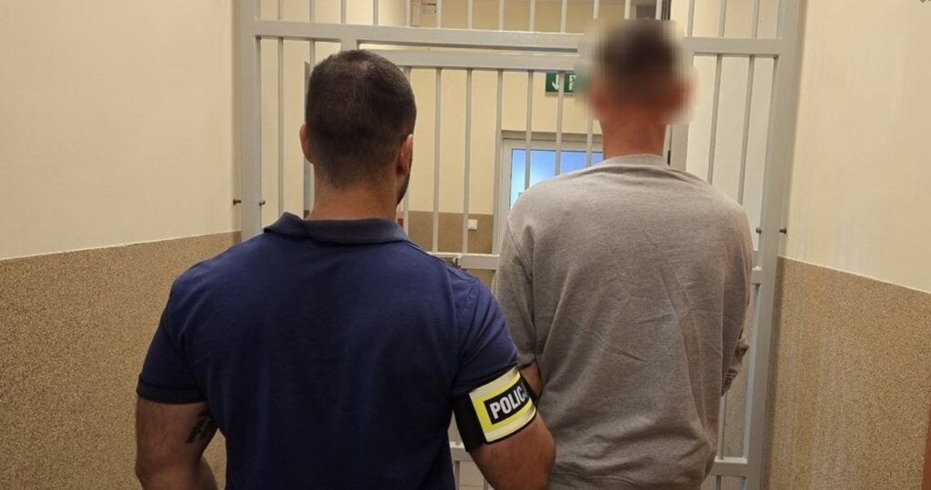 podstępem zaciągnął dziewczynkę do publicznej toalety. co grozi 31 latkowi?