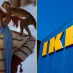 pippi i ikea symbolami szwecji. wiesz, co jeszcze?