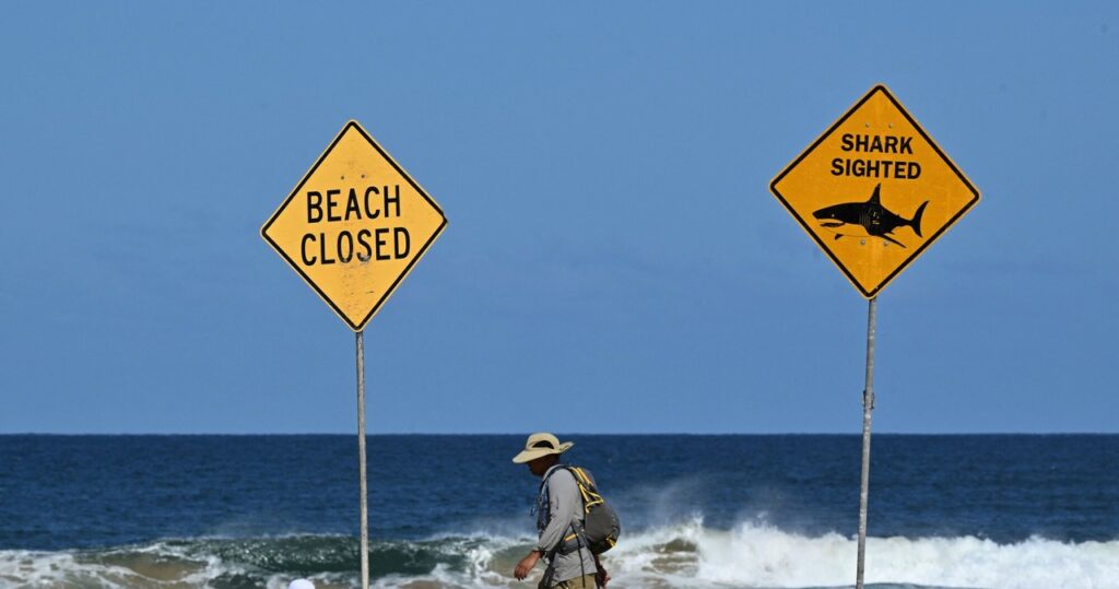 ​surfer zmarł po ataku rekina. miasto zamyka plaże