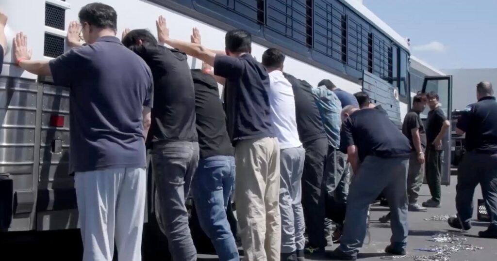 obławy na imigrantów. dziesiątki aresztowanych