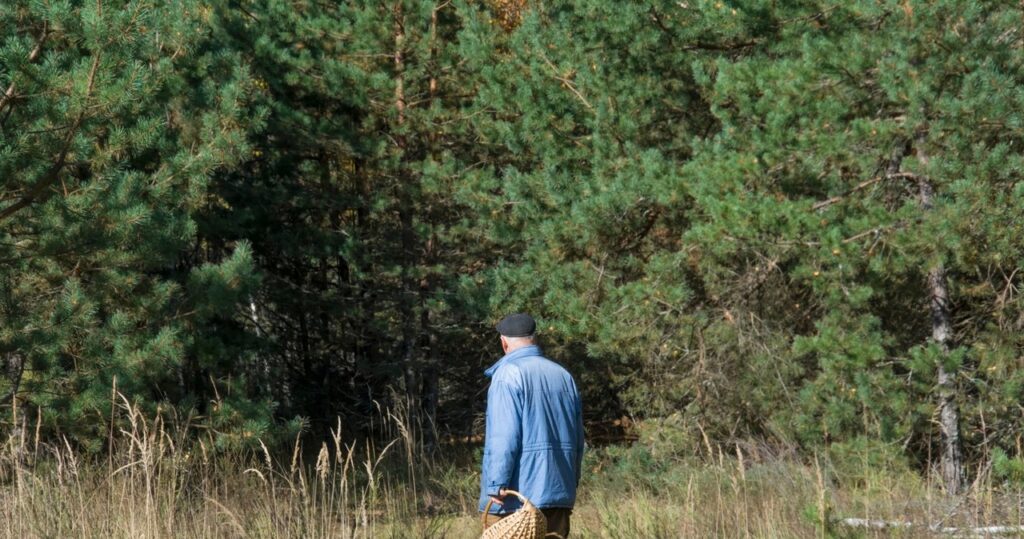 ​Żona nie żyje, mąż leży w szpitalu. jedli "białe grzyby z łąki"