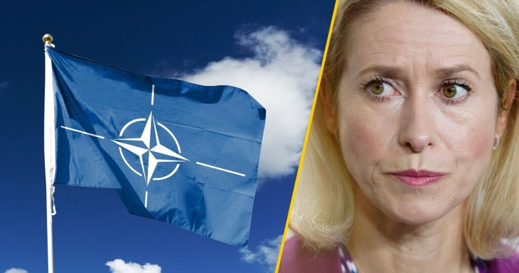 polska zestrzeliła rosyjskie drony. szefowa unijnej dyplomacji o "przełomowej reakcji"