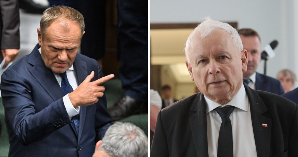 sondaż: pis i ko idą łeb w łeb. co z partią brauna?