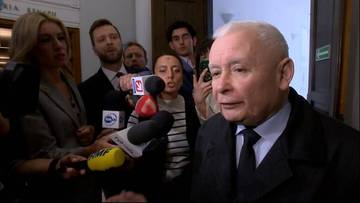 "sporty ze zwierzętami są wątpliwe". kaczyński komentuje odwołanie rodea