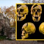 kim był tajemniczy mężczyzna z zakrystii? nowe badania odsłaniają brutalny zamach z xiii wieku